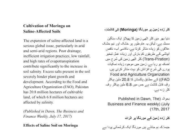 do fast urdu translation with proofreading